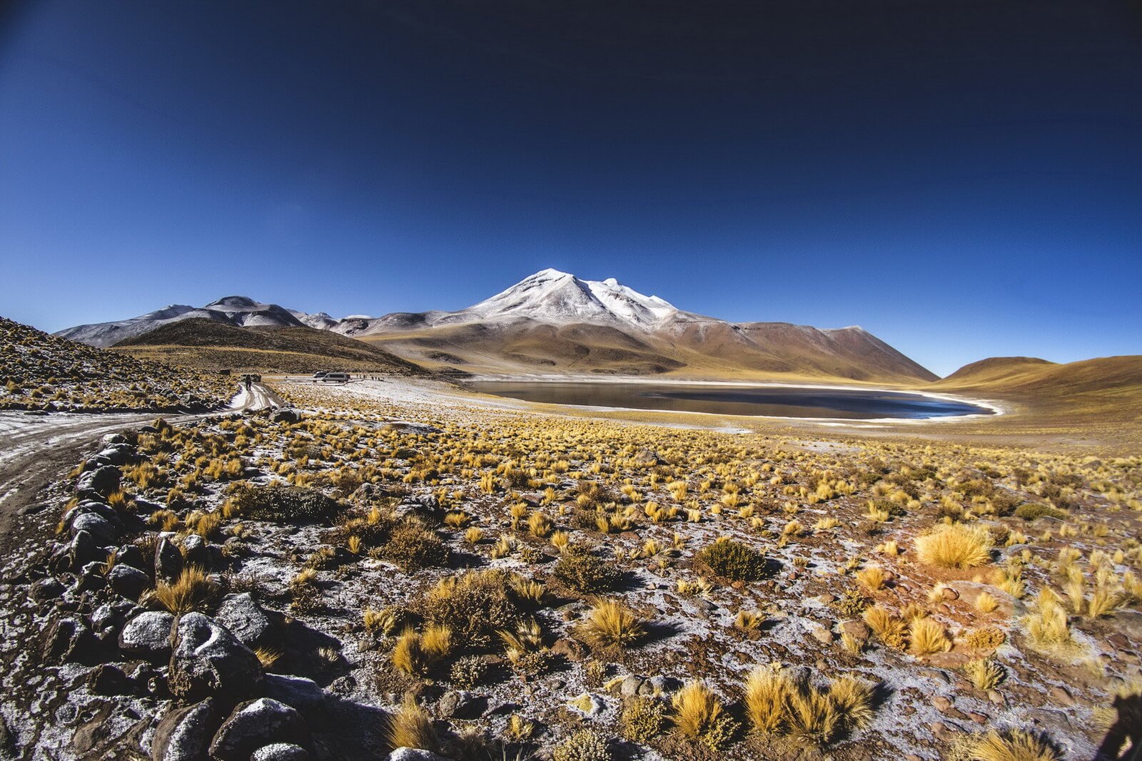 Tour Lagunas Altiplanicas